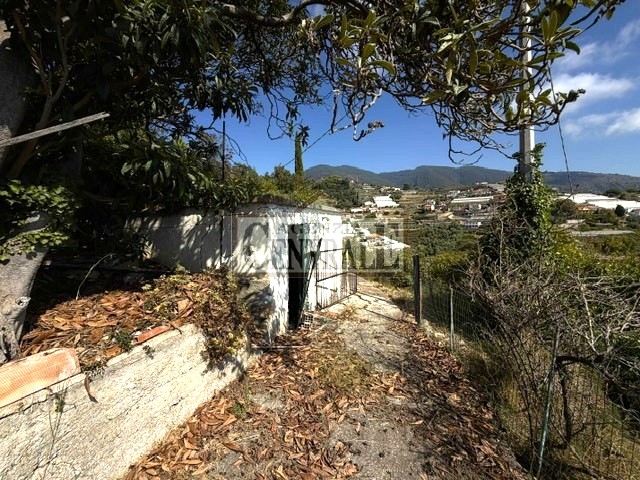 Agenzia Immobiliare Centrale Sanremo